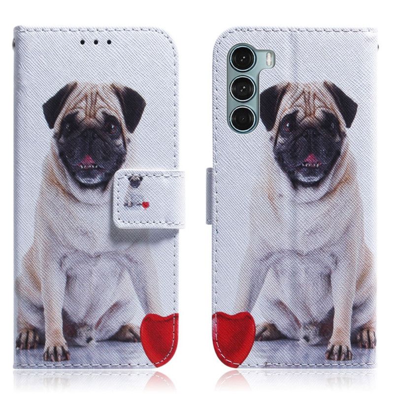 Etui Folio Do Moto G200 5g Mops Pies