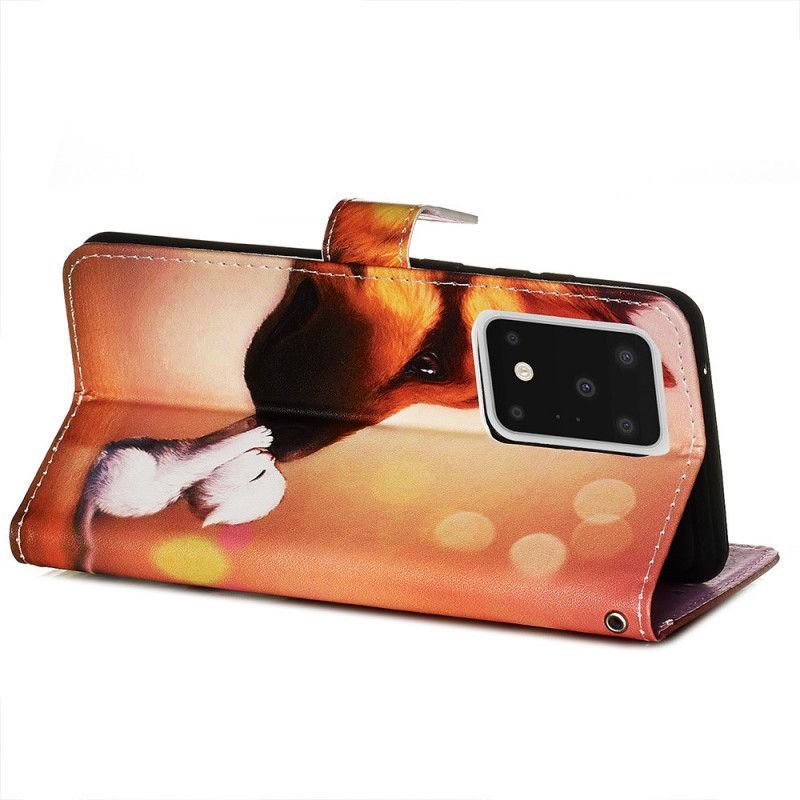 Etui Folio Samsung Galaxy S20 Ultra Przyjaciel Kota Ernesta Etui Ochronne