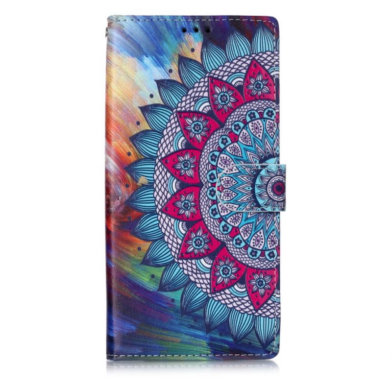 Etui Folio Samsung Galaxy Note 10 Plus Mandala Króla