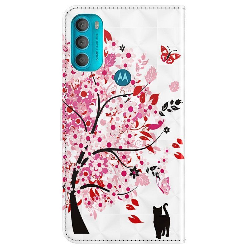 Etui Folio do Moto G71 5G Różowe Drzewo I Czarny Kot