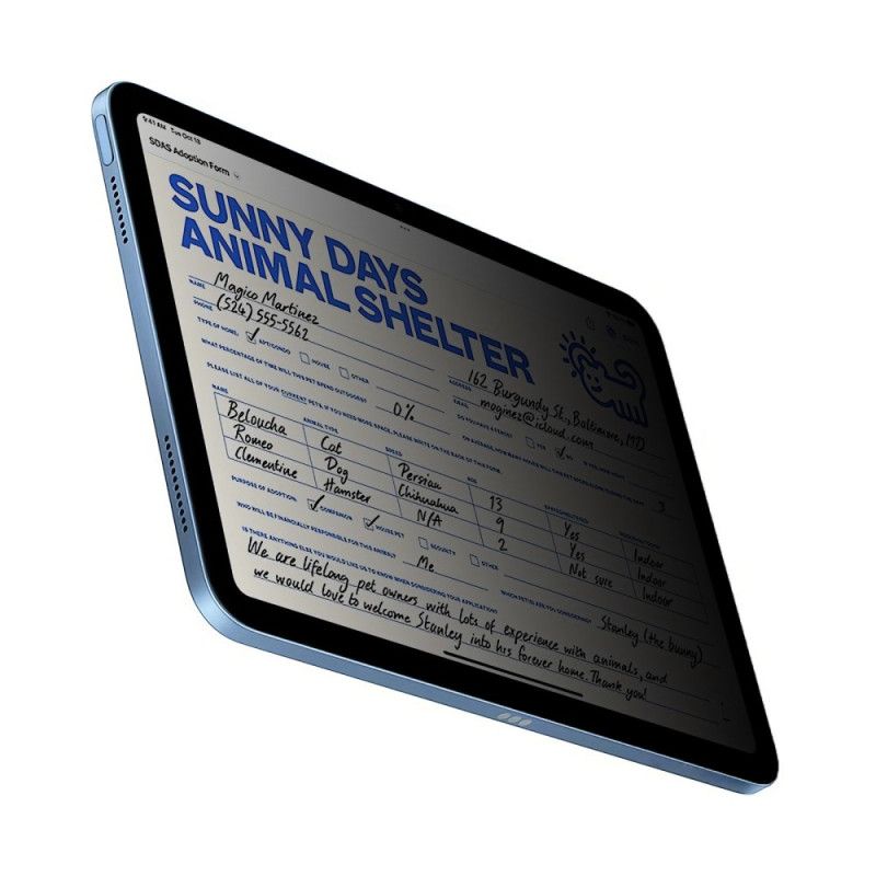 Szkło Hartowane Na Ekran Antyszpiegowskie Do Ipada (2025) / 10.9" (2022)